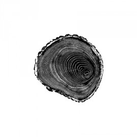Дух леса - 06 4,5 х 4,4 см